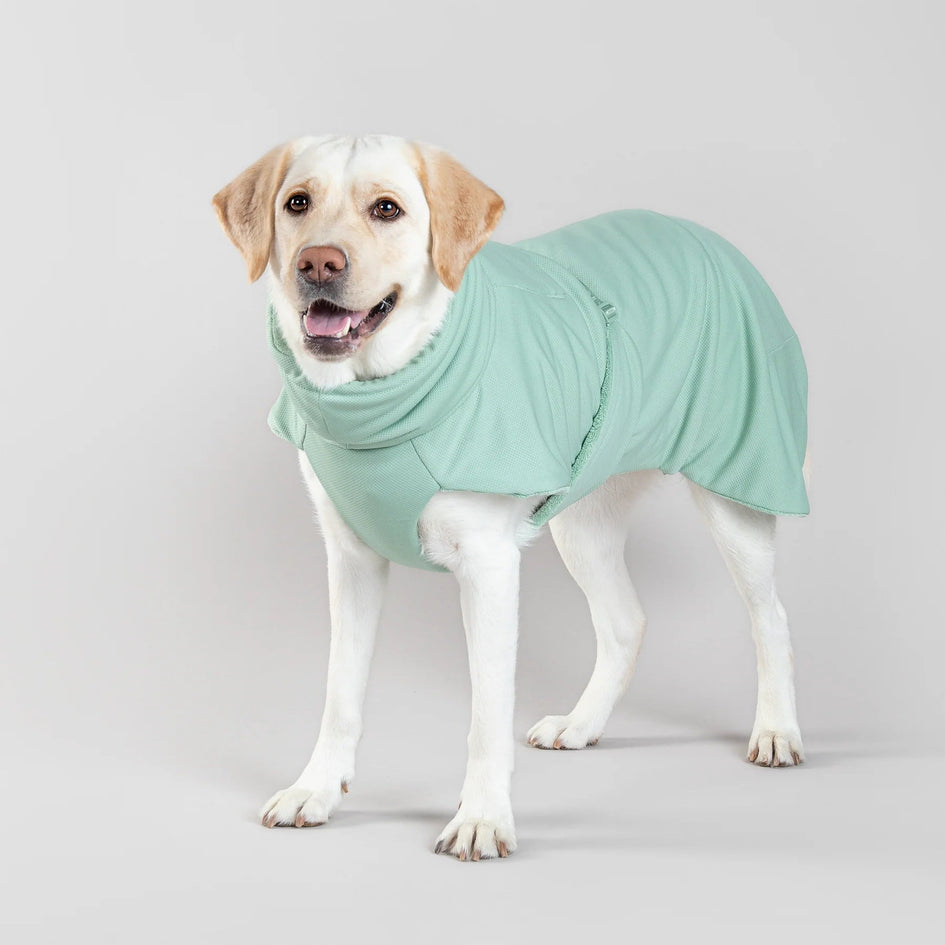 PAIKKA Drying Coat 2Go for Dogs