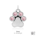 You Are My Shining Light Birthstone Paw Print Earrings
