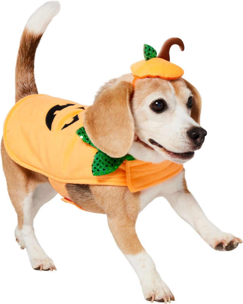 Frisco Pumpkin Dog Costume