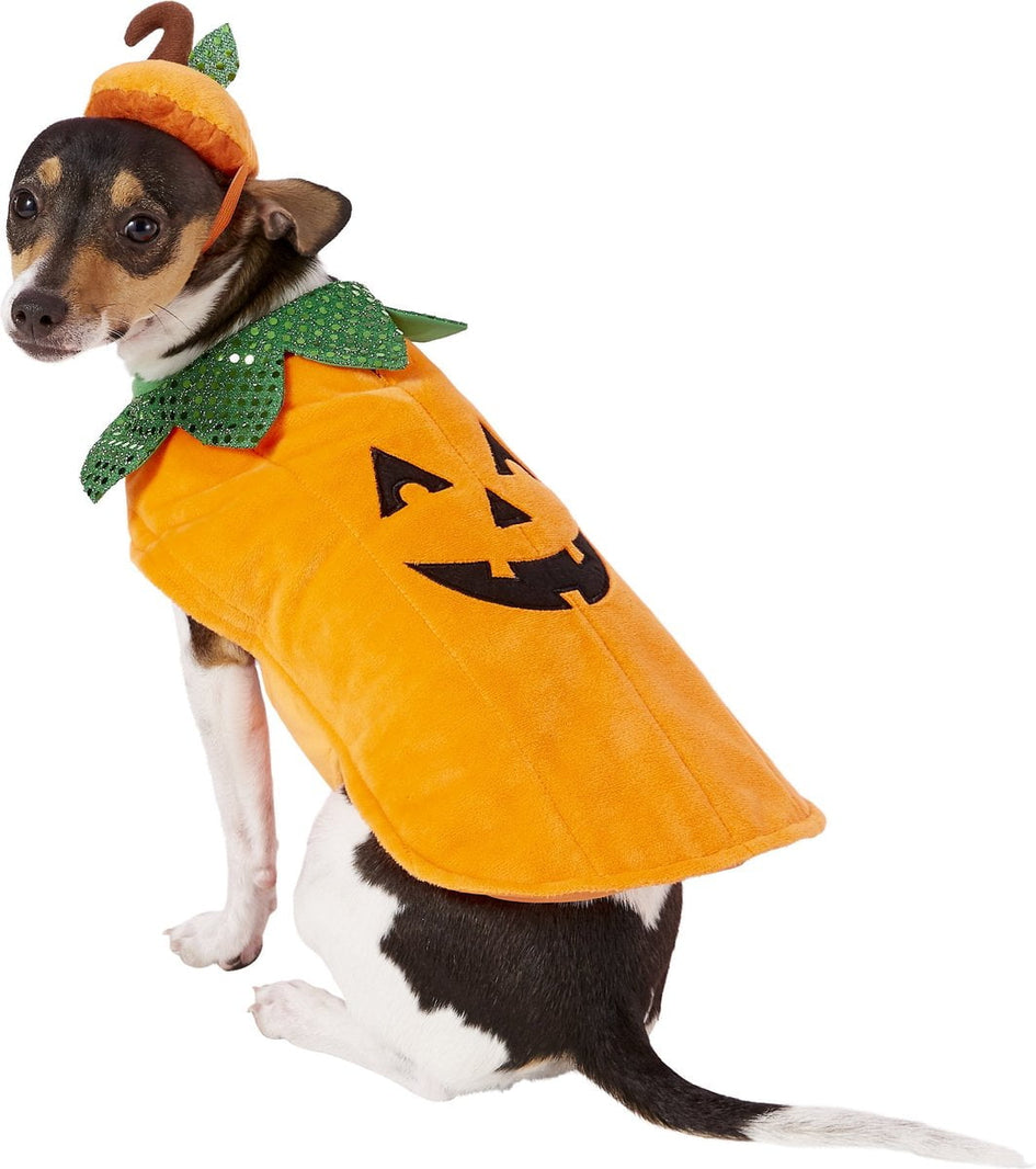 Frisco Pumpkin Dog Costume