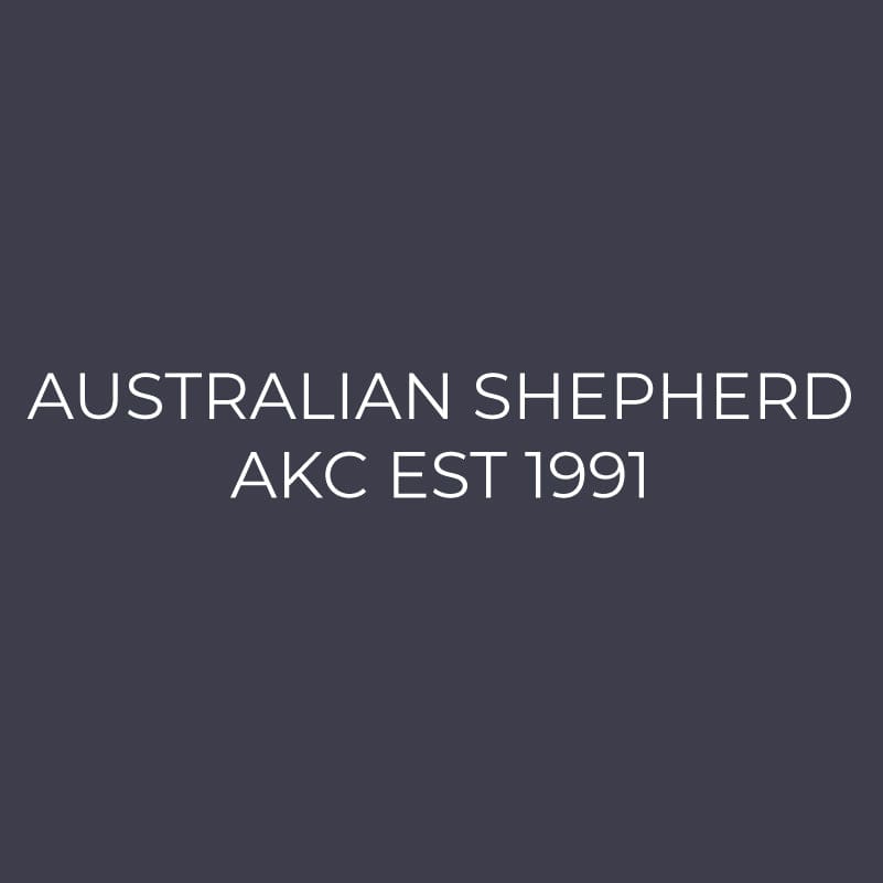 Australian Shepherd Embroidered AKC Quarter Zip