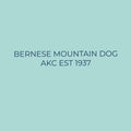 Bernese Mountain Dog Embroidered AKC Quarter Zip