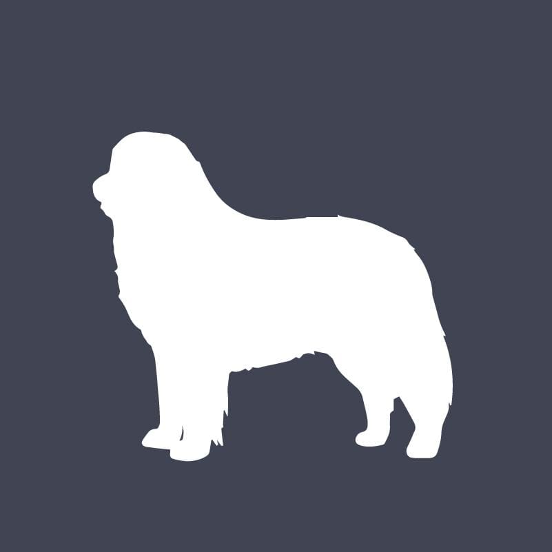 Bernese Mountain Dog Embroidered AKC Quarter Zip