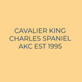 Cavalier King Charles Spaniel Embroidered AKC Quarter Zip