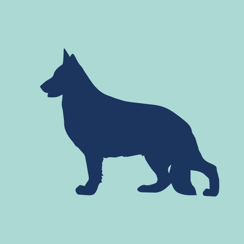 German Shepherd Dog Embroidered AKC Quarter Zip