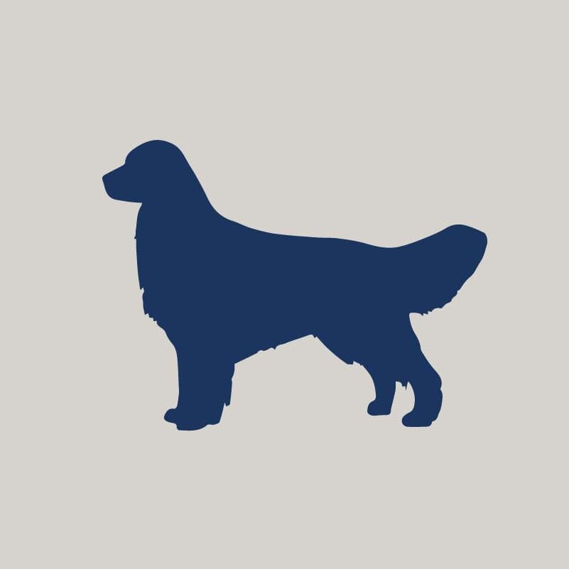 Golden Retriever AKC Embroidered Visor