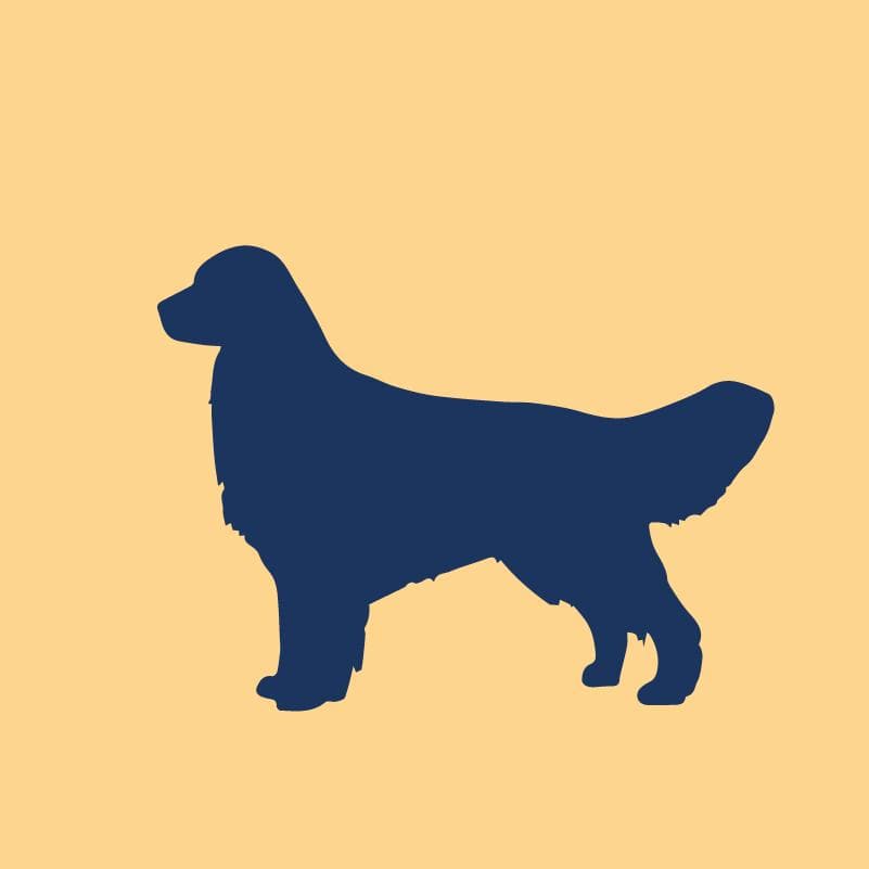 Golden Retriever Embroidered AKC Quarter Zip