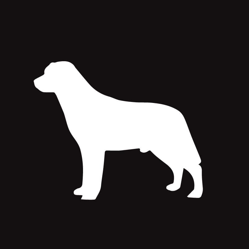 Labrador Retriever AKC Embroidered Visor