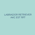 Labrador Retriever Embroidered AKC Quarter Zip
