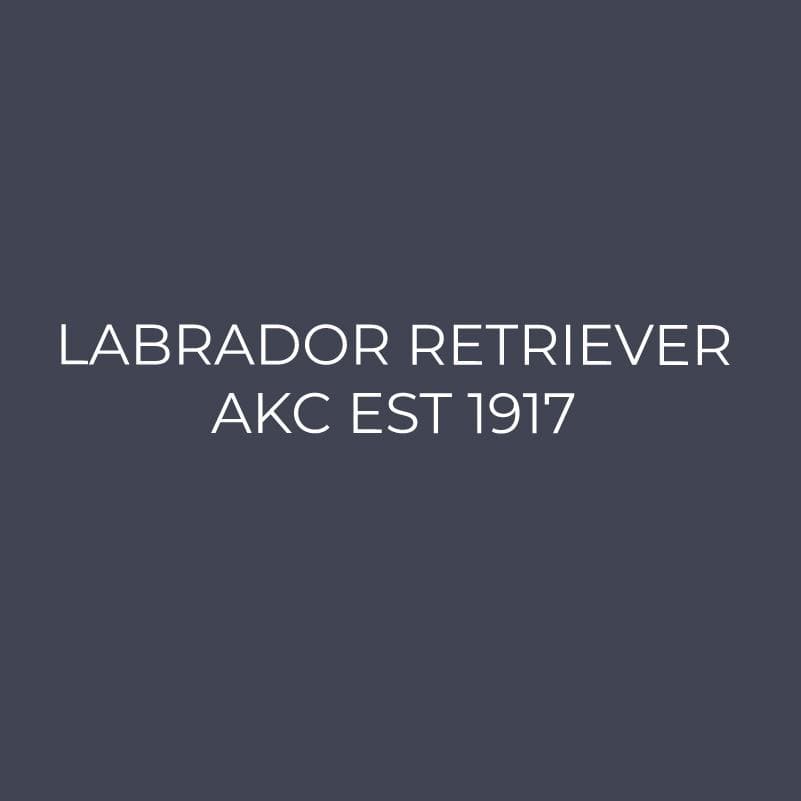 Labrador Retriever Embroidered AKC Quarter Zip