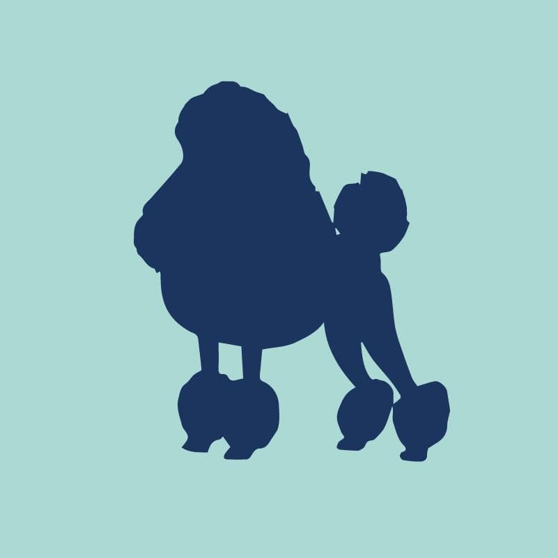 Poodle Embroidered AKC Quarter Zip