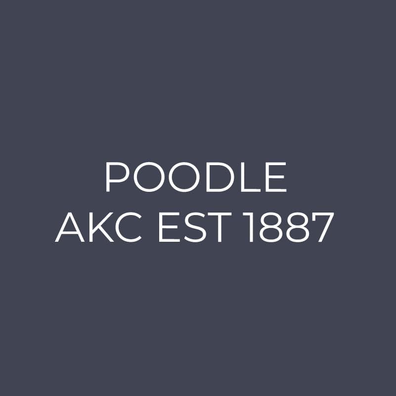 Poodle Embroidered AKC Quarter Zip