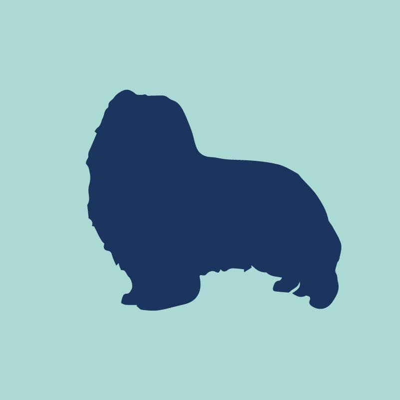 Shetland Sheepdog Embroidered AKC Quarter Zip