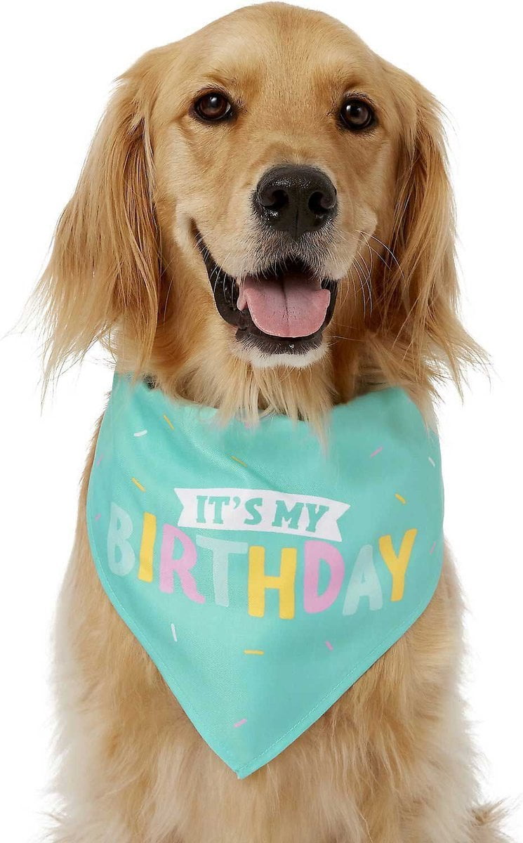Frisco Dog Birthday Bandana