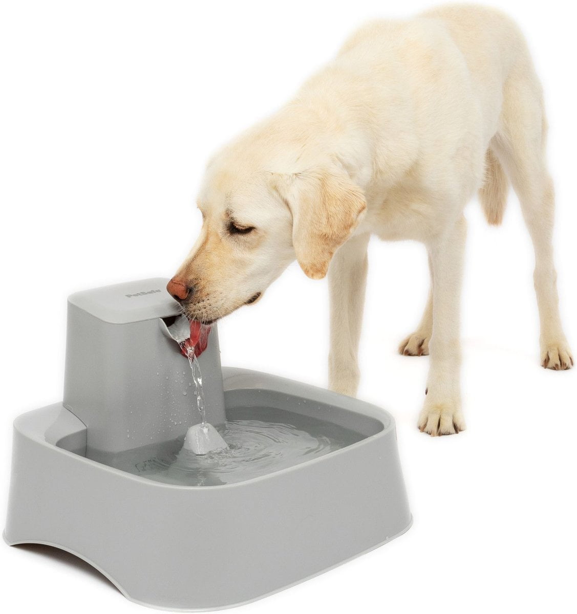 PetSafe Drinkwell Dog Water Fountain | AKC Shop