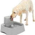 PetSafe Drinkwell Dog Water Fountain