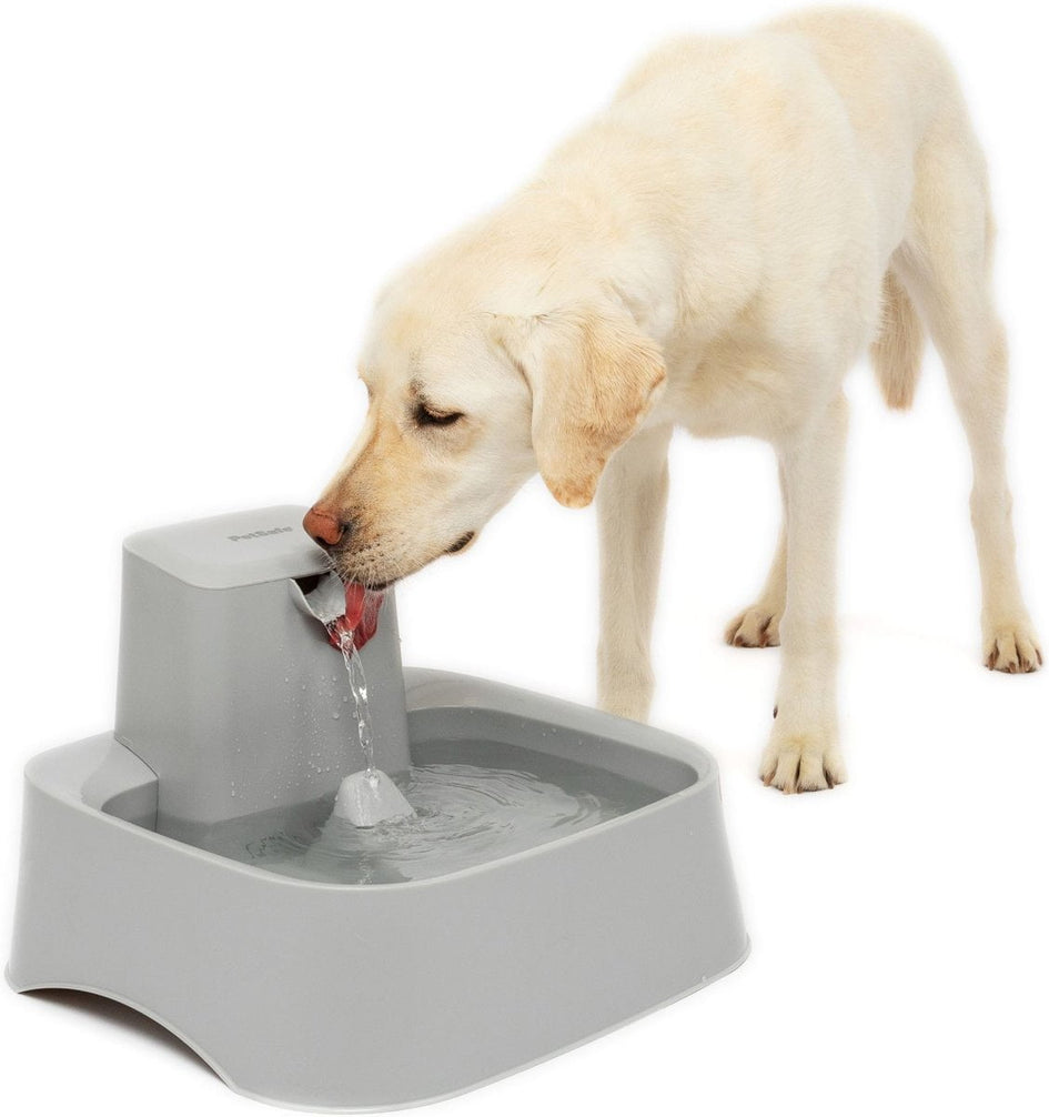 PetSafe Drinkwell Dog Water Fountain AKC Shop