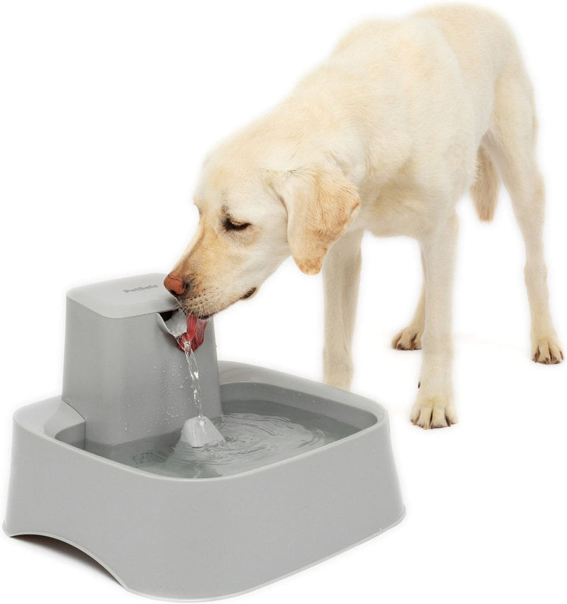 PetSafe Drinkwell Dog Water Fountain