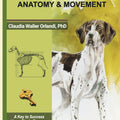 Practical Canine Anatomy & Movement