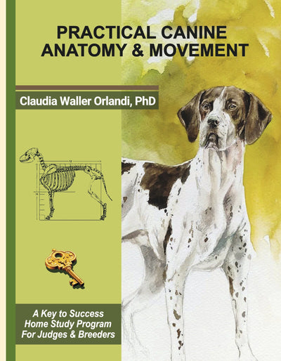 Practical Canine Anatomy & Movement