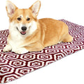 American Kennel Club AKC Paw Blanket & Dog Pillow