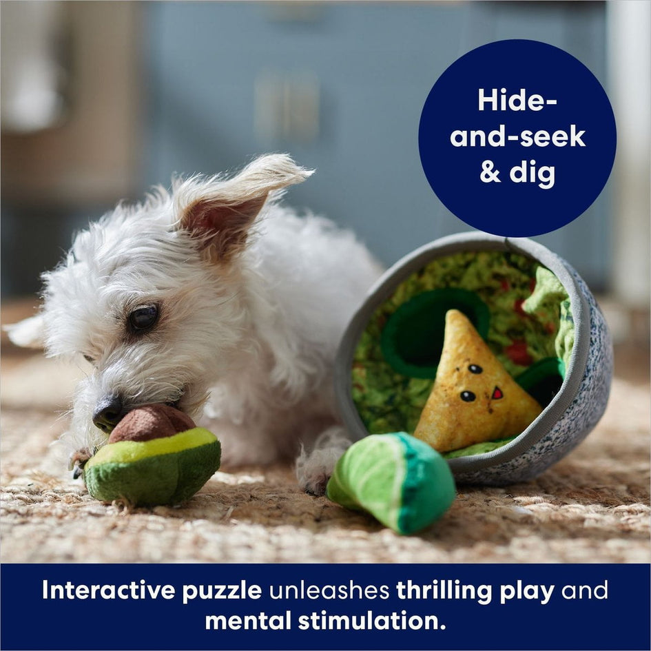 Frisco Guacamole Hide & Seek Puzzle Plush Squeaky Dog Toy, Small