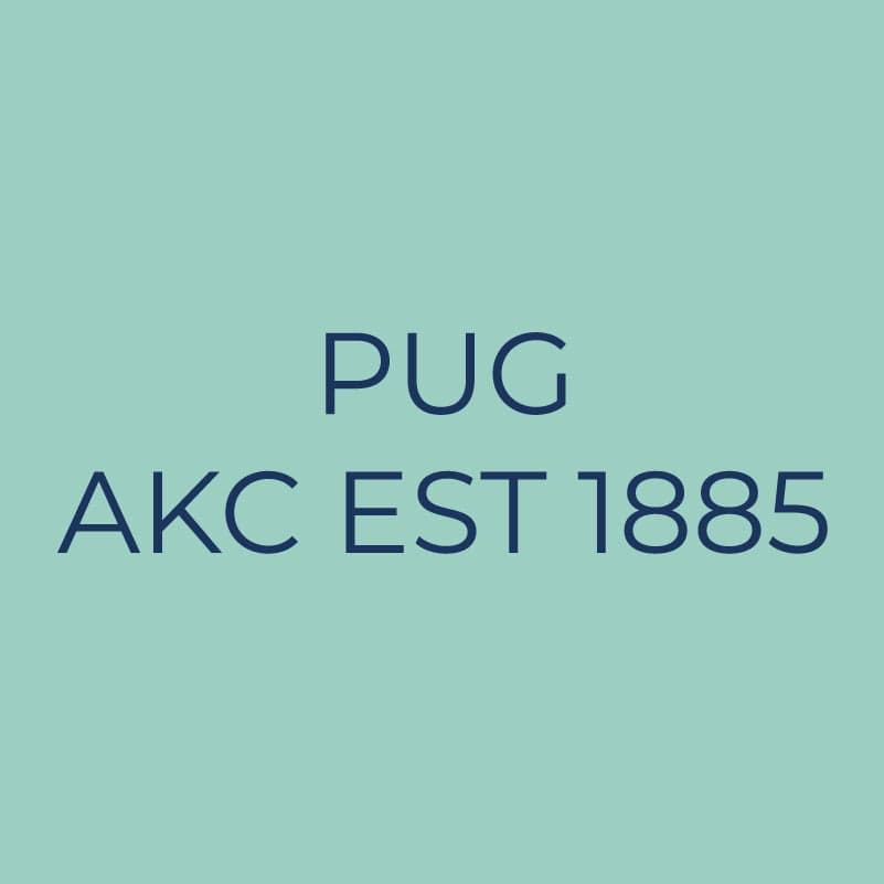 Pug Embroidered AKC Quarter Zip