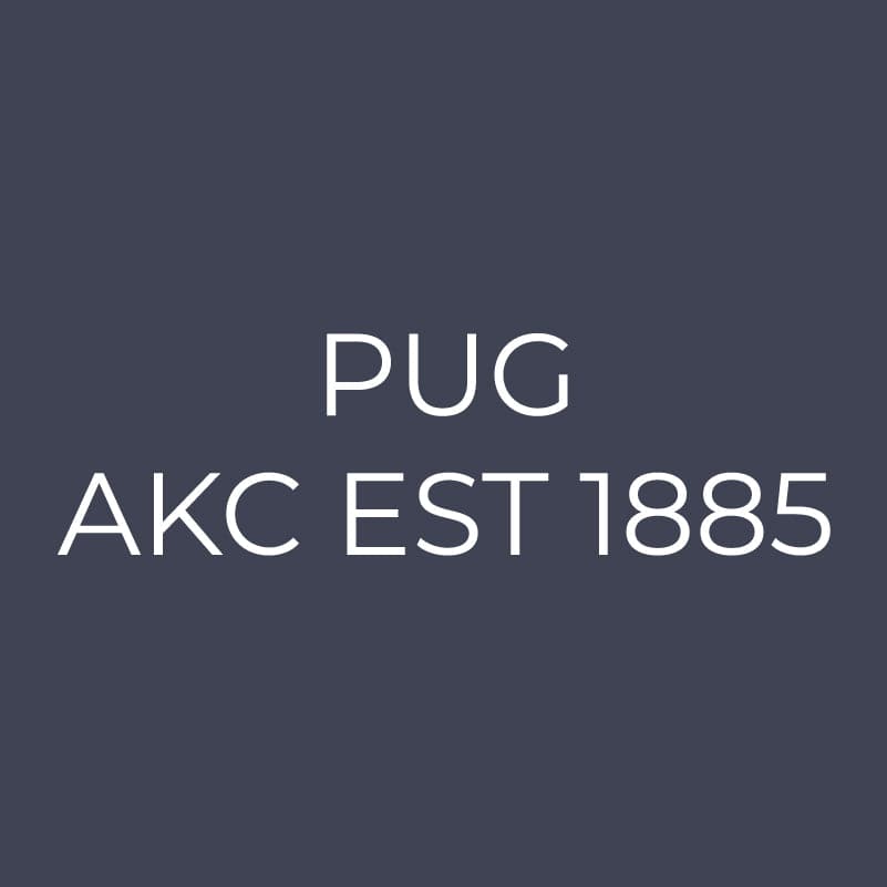 Pug Embroidered AKC Quarter Zip