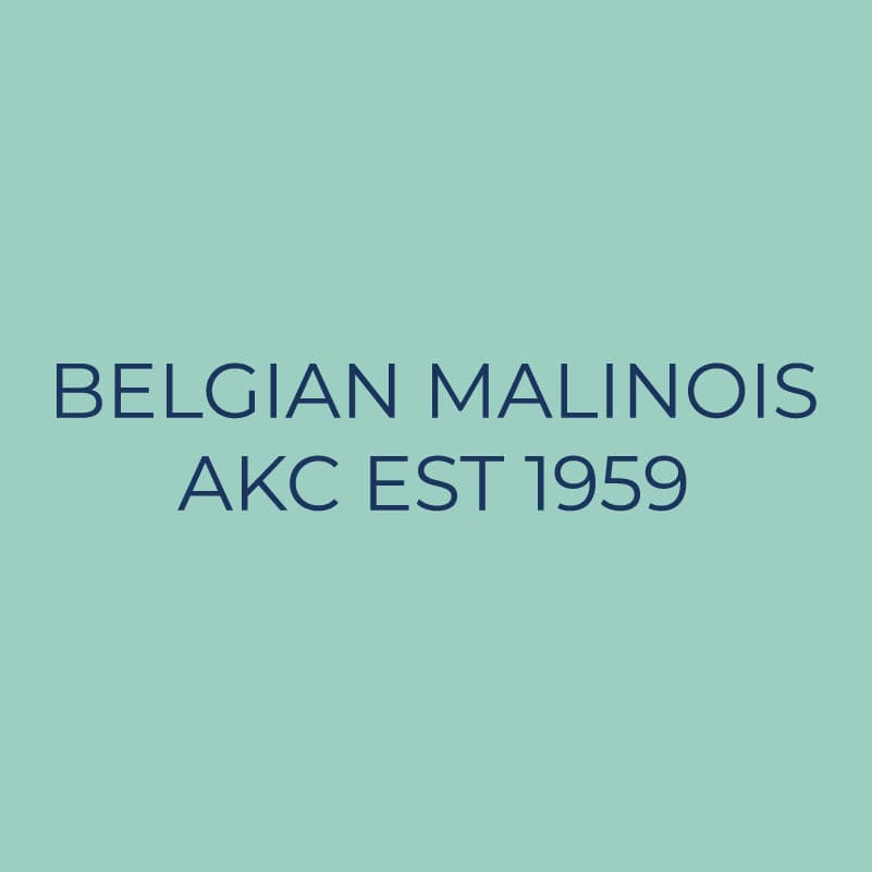 Belgian Malinois Embroidered AKC Quarter Zip