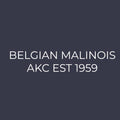 Belgian Malinois Embroidered AKC Women's Polo