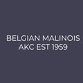 Belgian Malinois Embroidered AKC Men's Polo