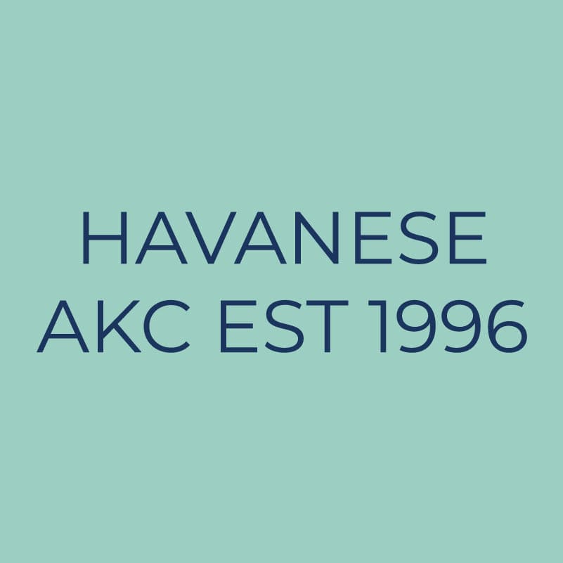 Havanese Embroidered AKC Quarter Zip