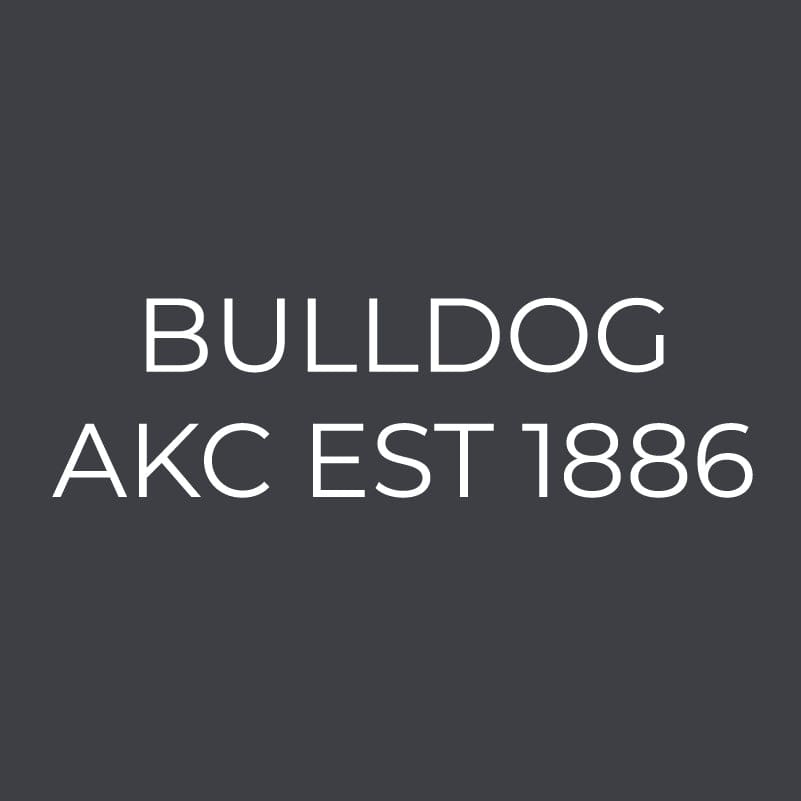 Bulldog Embroidered AKC Women's Polo