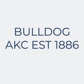 Bulldog Embroidered AKC Women's Polo