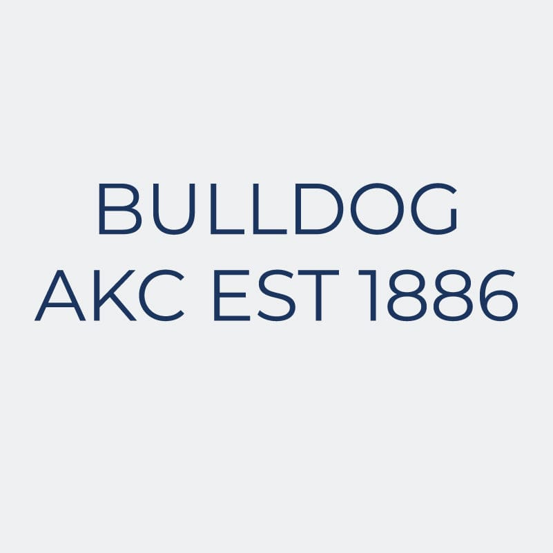 Bulldog Embroidered AKC Women's Polo