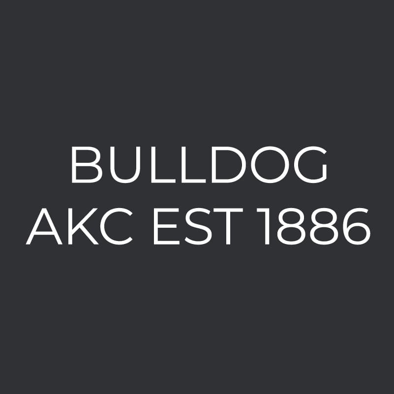 Bulldog Embroidered AKC Men's Polo