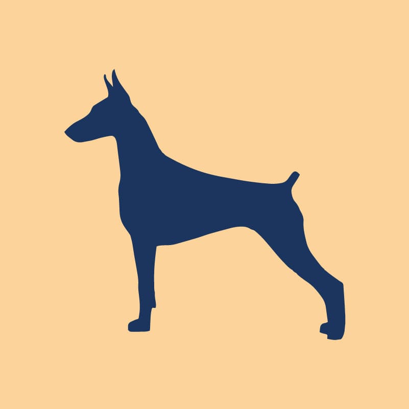 Doberman Pinscher Embroidered AKC Quarter Zip | AKC Shop