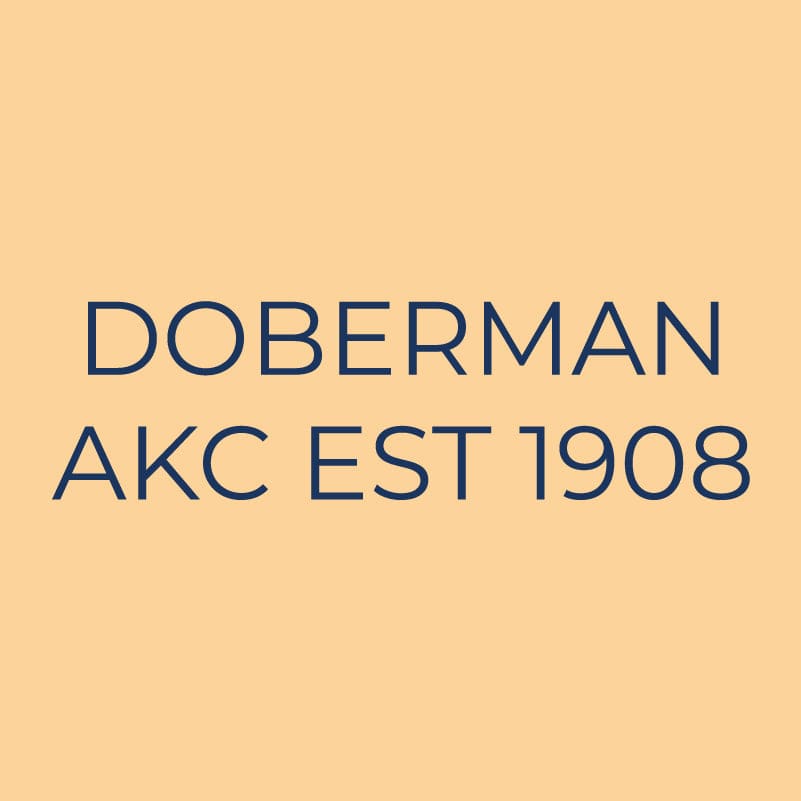 Doberman Pinscher Embroidered AKC Quarter Zip | AKC Shop