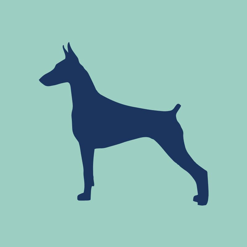 Doberman Embroidered AKC Quarter Zip | AKC Shop