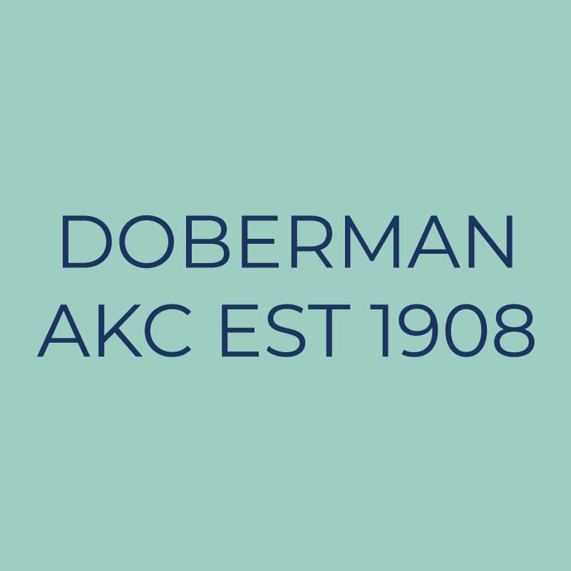 Doberman Embroidered AKC Quarter Zip