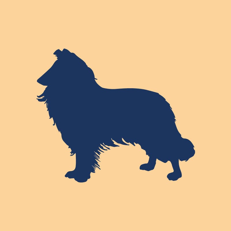 Collie専用購入ページ Border Collie Dog Cutout Laser Engraved Aluminum Metal Sign, Round