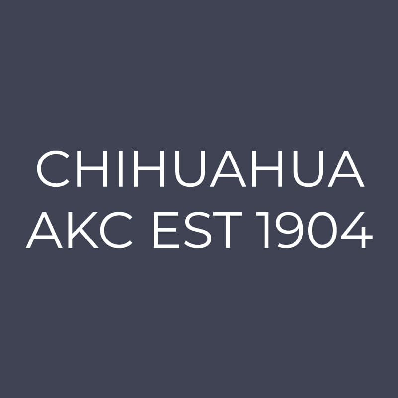 Chihuahua Embroidered AKC Quarter Zip