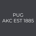 Pug Embroidered AKC Women's Polo