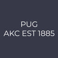Pug Embroidered AKC Women's Polo