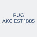 Pug Embroidered AKC Women's Polo