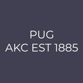 Pug Embroidered AKC Men's Polo
