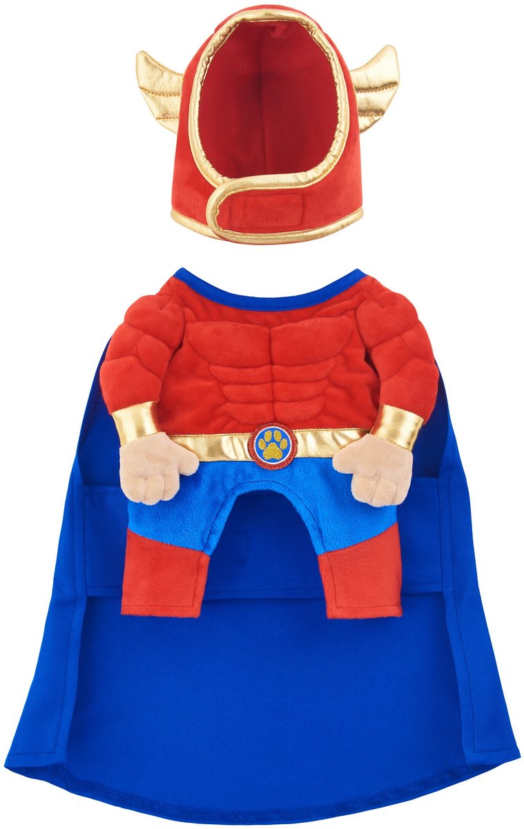 Frisco Front Walking Superhero Dog Costume