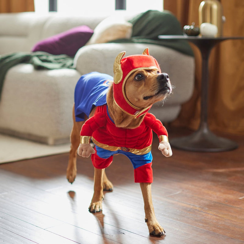 Frisco Front Walking Superhero Dog Costume