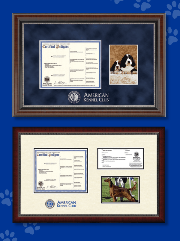 AKC Certified Pedigrees AKC Shop