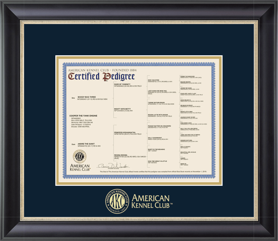 Kennel club pedigree clearance checker